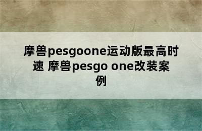 摩兽pesgoone运动版最高时速 摩兽pesgo one改装案例